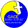 Gace Logo